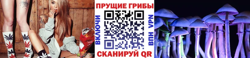 Галлюциногенные грибы Cubensis Куртамыш